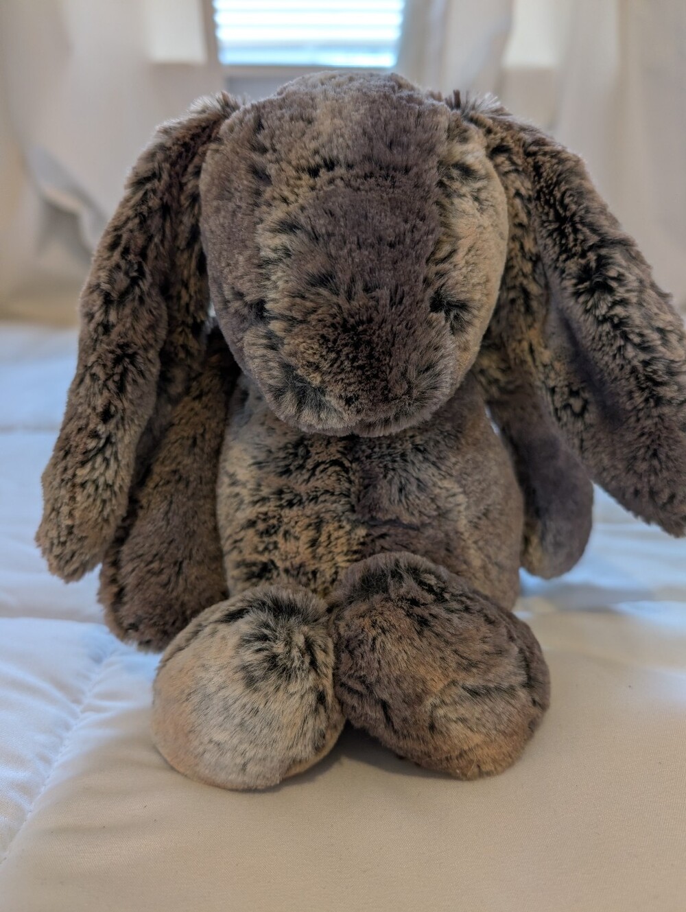 Jellycat London Bashful Woodland Bunny Stuffed Animal - Soft Plush Rabbit Sz M - Picture 6 of 12